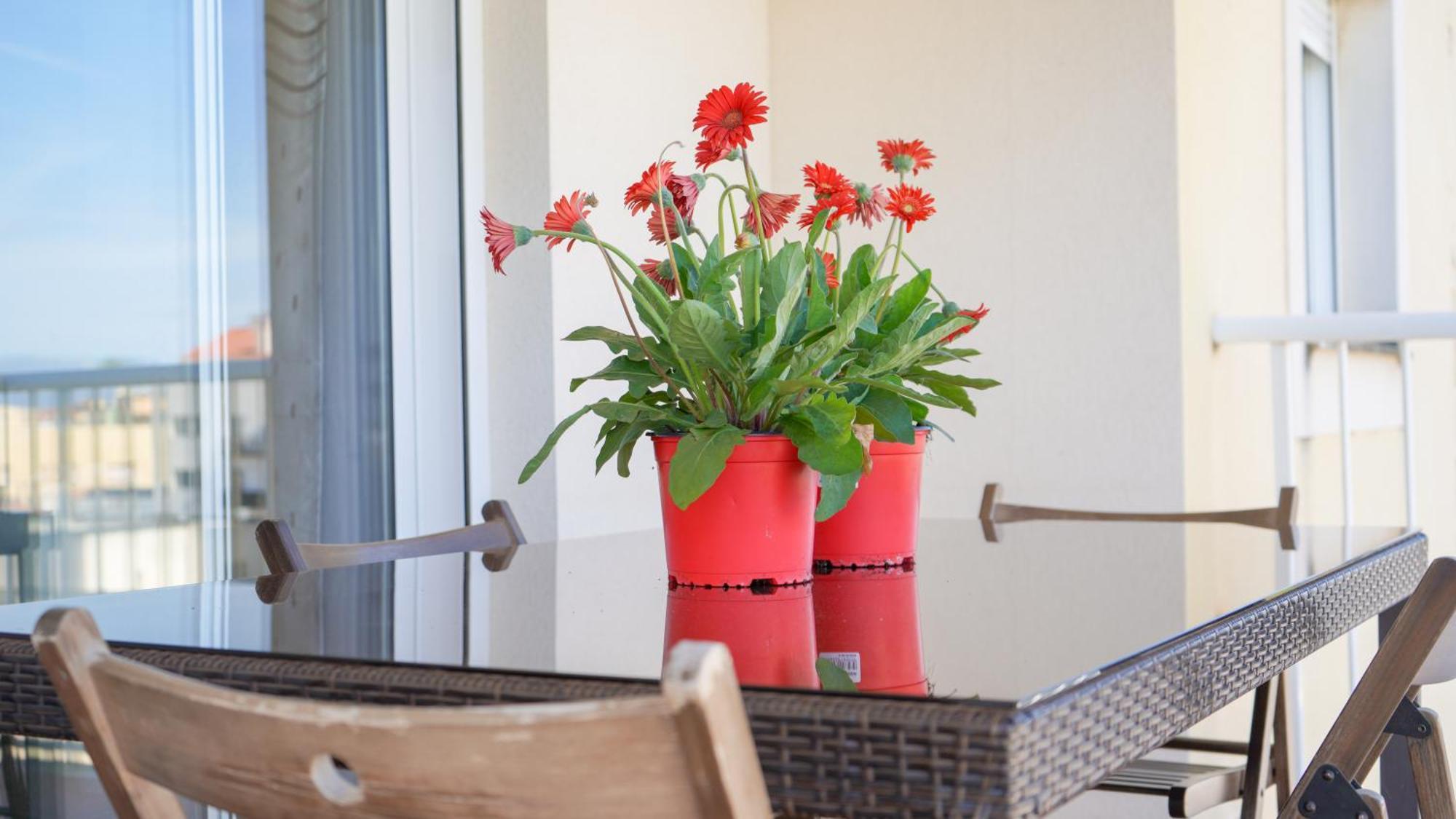 Apartament Lo Cor Del Delta Sant Jaume d'Enveja Eksteriør bilde