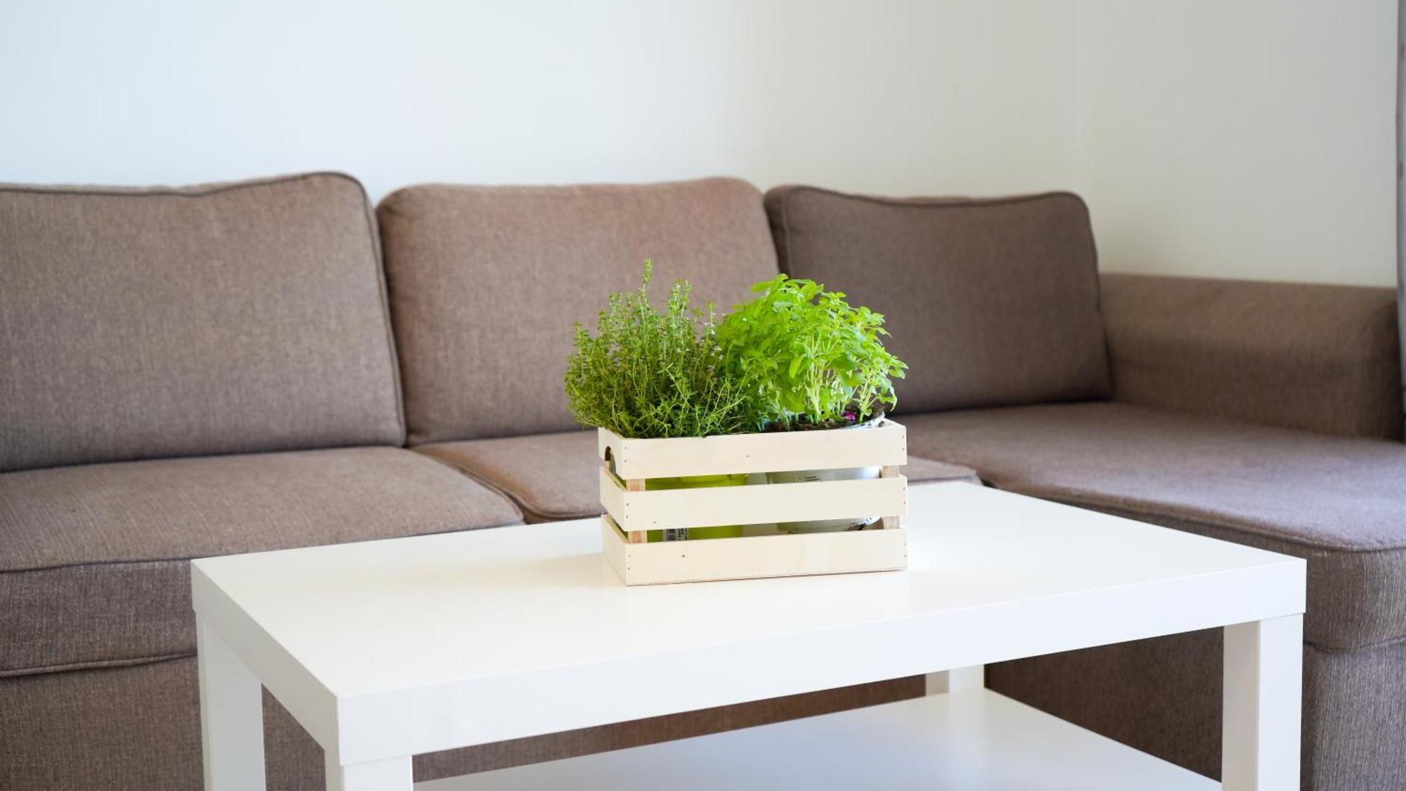 Apartament Lo Cor Del Delta Sant Jaume d'Enveja Eksteriør bilde